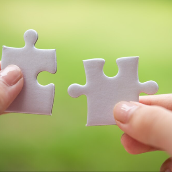 Two puzzle pieces fitting together, representing the harmonious alignment of values and goals.